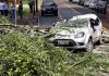 Árvore de grande porte cai sobre carro durante temporal em Toledo