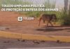 Toledo ampliará Política de Proteção e Defesa dos Animais com inovação