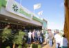 Show Rural: Sicredi registra R$ 188 milhões em volume de negócios