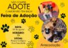 Evento vai promover a adoção responsável e arrecadação de ração