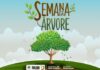 Parque do Povo será o foco das ações de plantio durante a Semana da Árvore