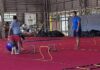 Programa de Iniciação Motora é iniciado no Centro Olímpico Arnoldo Bohnen