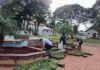 Parceria em ação ambiental permite plantio de flores e árvores em Quatro Pontes