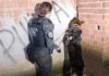 Ações da Polícia Civil do Paraná com cães aumentaram em 98% na apreensão de armas em 2023