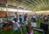 Programa Música nas Escolas inicia temporada 2024 em grande estilo