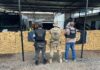 Operação policial apreende 1,7 tonelada de maconha carregada em Toledo