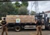 Polícia Militar apreende quase 300 mil reais em cigarros contrabandeados em Mercedes
