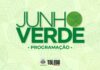 Junho Verde inicia com oficina de grafite e plantio de flores