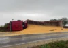 Caminhão tomba próximo a Sede Alvorada e carga de milho fica espalhada na BR-163