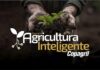 Copagril lançará Programa Agricultura Inteligente durante a Expo Rondon