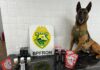 Cão farejador encontra mala carregada com balas e vapes de maconha no Oeste do Paraná