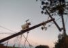 Mais de 6 mil imóveis são afetados com falta de energia no Oeste e Sudoeste do Paraná