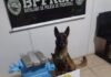 Cão farejador descobre maconha em carro próximo à Quatro Pontes e trio é detido