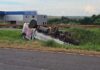 Falha mecânica faz veículo capotar na BR-467 em Toledo