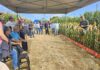 Copagril apresenta novos híbridos ao público do Dia de Campo Milho Safrinha