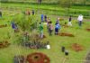 TooPlantando: mudas de árvores nativas são cultivadas no Parque do Povo
