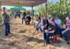 Primato realiza Dia de Campo Milho Safrinha com otimismo diante da maior safra da história