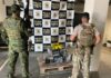 Polícia localiza 254 kg de maconha em milharal em Guaíra