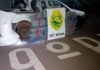 Polícia intercepta em Ouro Verde mais de meia tonelada de maconha com destino a Cascavel