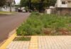 Secretaria de Infraestrutura alerta sobre responsabilidade de calçadas