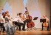 Toledo recebe Orquestra de Câmara Solistas e “O Mundo Mágico da Música”