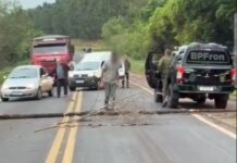 Com galhos e árvore homem bloqueia BR-163 entre Guaíra e Mercedes