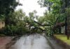Ventos derrubam árvores e postes na rodovia e destelham casas na cidade de Nova Santa Rosa