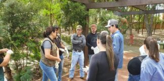 Ação marca Dia do Rio com limpeza e plantio no Parque Linear do Arroio Marreco