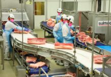 Brasil perde US$ 700 mi de agosto a outubro com exportações de carne