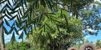 Carro tomba em trecho em obras em Alto Santa Fé em Nova Santa Rosa