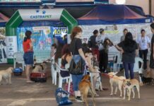 Centro de Eventos Ismael Sperafico recebe terceira edição do Castrapet