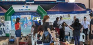 Centro de Eventos Ismael Sperafico recebe terceira edição do Castrapet