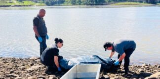 Corpo de homem desaparecido no rio Paraná é localizado em Foz do Iguaçu