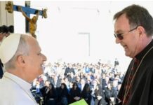 Dom Anuar Battisti é recebido pelo papa Leão XIV durante peregrinação em Roma