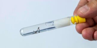 Endemias realiza ação educativa no Dia D de Combate à Dengue, no sábado (8)