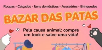 Instituto Guardiãs das Patas promove bazar para auxiliar tratamento e vacinação de animais acolhidos em Toledo