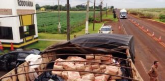 Irmãos são presos na região por roubar carreta cegonha