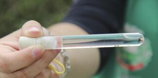 LIRAa Nacional em Toledo fica em 1,9%, acima do índice recomendado