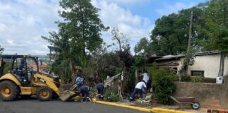 Mulher privada de liberdade acha e devolve R$ 8 mil durante serviço de limpeza no Paraná