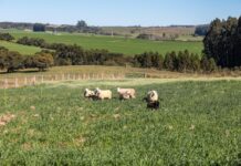 Governador sanciona lei que prevê aumento do investimento em conectividade rural