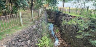 Secretaria do Meio Ambiente realizará ação em homenagem ao Dia do Rio