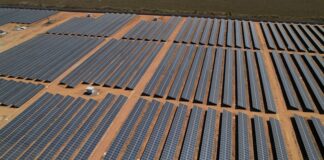 Sicredi apresentará ações para mulheres empreendedoras e transição energética no campo na COP 30