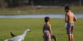 Simepar prevê temperaturas altas no fim de semana, com chuva no domingo