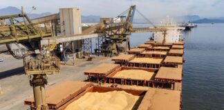 Soja responde por 21% da movimentação e lidera exportações no Paraná