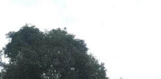 Trator furtado é recuperado pela Polícia entre Toledo e São Pedro do Iguaçu