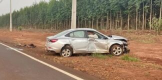 Motorista de Toledo fica ferido em acidente em rodovia de Terra Roxa