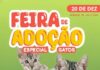 Está chegando a Feira de Adoção especial para gatos