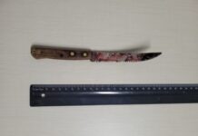 Idosa de 76 anos esfaqueada no pescoço em Toledo foi vítima de tentativa de latrocínio