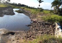 Licenciamento Ambiental: Região Sul soma mais de 15 mil pedidos em análise