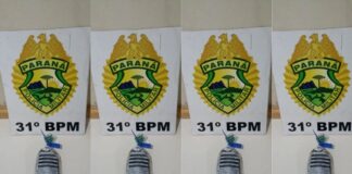 Maconha é apreendida em terreno abandonado em Palotina